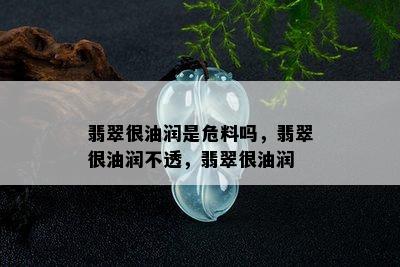 翡翠很油润是危料吗，翡翠很油润不透，翡翠很油润