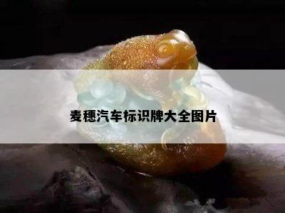 麦穗汽车标识牌大全图片