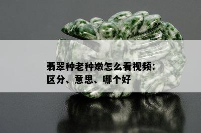 翡翠种老种嫩怎么看视频：区分、意思、哪个好