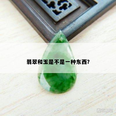 翡翠和玉是不是一种东西？