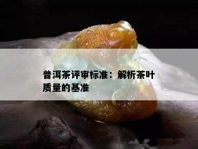 普洱茶评审标准：解析茶叶质量的基准