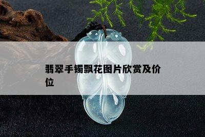 翡翠手镯飘花图片欣赏及价位