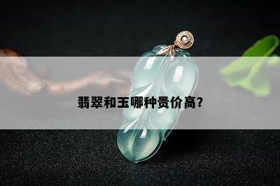 翡翠和玉哪种贵价高？