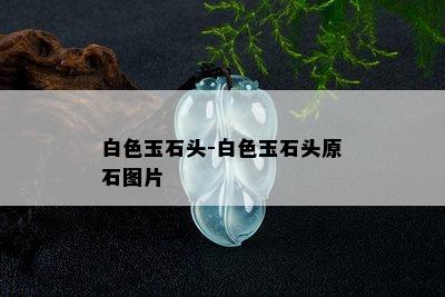 白色玉石头-白色玉石头原石图片