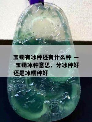 玉镯有冰种还有什么种 — 玉镯冰种意思、分冰种好还是冰糯种好