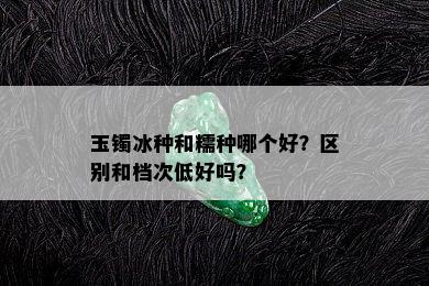 玉镯冰种和糯种哪个好？区别和档次低好吗？