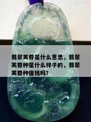 翡翠芙蓉是什么意思，翡翠芙蓉种是什么样子的，翡翠芙蓉种值钱吗？