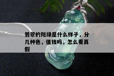 翡翠的阳绿是什么样子，分几种色，值钱吗，怎么看真假