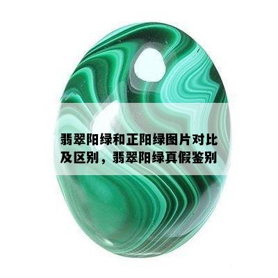 翡翠阳绿和正阳绿图片对比及区别，翡翠阳绿真假鉴别