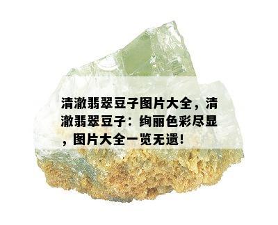 清澈翡翠豆子图片大全，清澈翡翠豆子：绚丽色彩尽显，图片大全一览无遗！