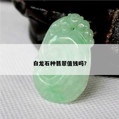 白龙石种翡翠值钱吗？