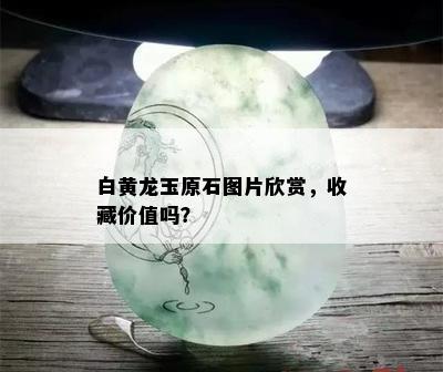 白黄龙玉原石图片欣赏，收藏价值吗？