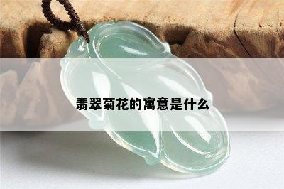 翡翠菊花的寓意是什么