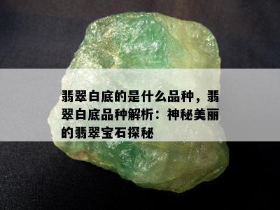 翡翠白底的是什么品种，翡翠白底品种解析：神秘美丽的翡翠宝石探秘