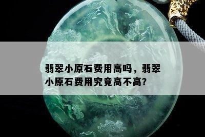 翡翠小原石费用高吗，翡翠小原石费用究竟高不高？