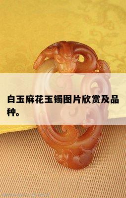 白玉麻花玉镯图片欣赏及品种。