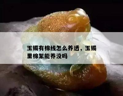 玉镯有棉线怎么养透，玉镯里棉絮能养没吗