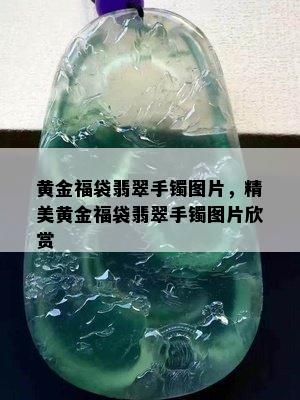 黄金福袋翡翠手镯图片，精美黄金福袋翡翠手镯图片欣赏