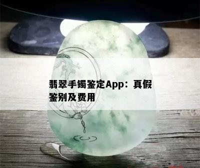 翡翠手镯鉴定App：真假鉴别及费用