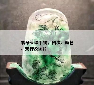 翡翠豆绿手镯、档次、颜色、变种及图片