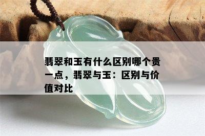 翡翠和玉有什么区别哪个贵一点，翡翠与玉：区别与价值对比