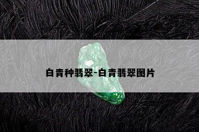 白青种翡翠-白青翡翠图片