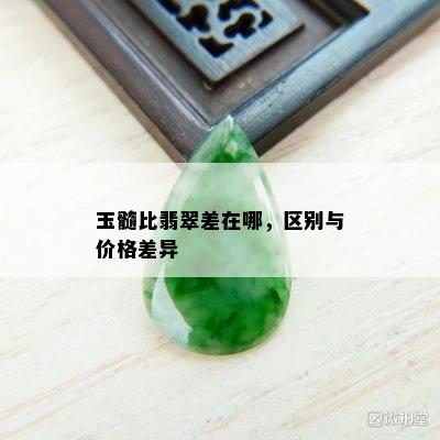 玉髓比翡翠差在哪，区别与价格差异