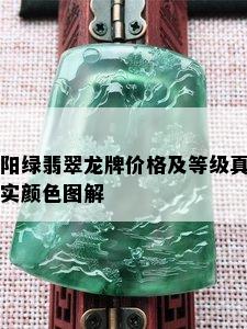 阳绿翡翠龙牌价格及等级真实颜色图解