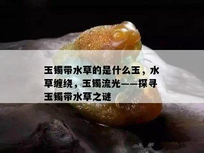 玉镯带水草的是什么玉，水草缠绕，玉镯流光——探寻玉镯带水草之谜