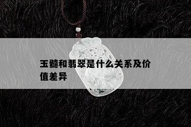 玉髓和翡翠是什么关系及价值差异