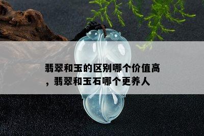 翡翠和玉的区别哪个价值高，翡翠和玉石哪个更养人