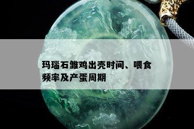 玛瑙石雏鸡出壳时间、喂食频率及产蛋周期