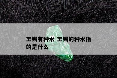 玉镯有种水-玉镯的种水指的是什么