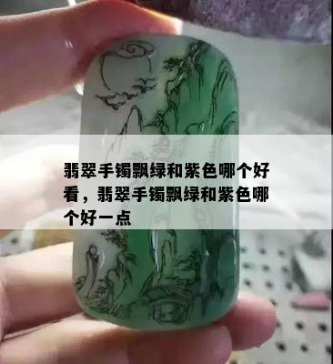 翡翠手镯飘绿和紫色哪个好看，翡翠手镯飘绿和紫色哪个好一点