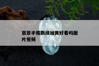 翡翠手镯飘绿加黄好看吗图片视频