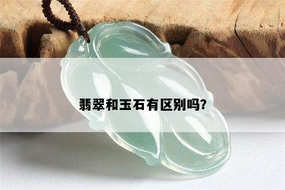 翡翠和玉石有区别吗？