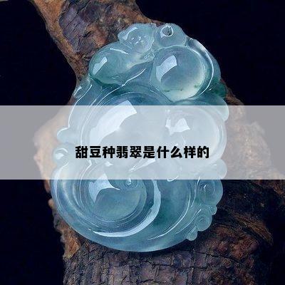 甜豆种翡翠是什么样的