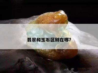 翡翠和玉石区别在哪？