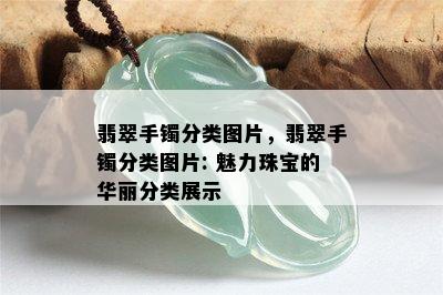 翡翠手镯分类图片，翡翠手镯分类图片: 魅力珠宝的华丽分类展示