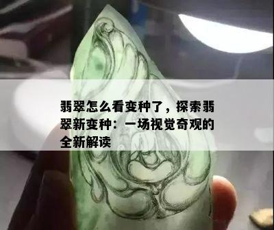 翡翠怎么看变种了，探索翡翠新变种：一场视觉奇观的全新解读