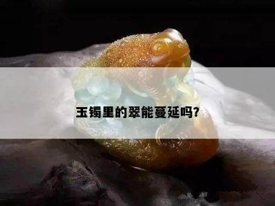 玉镯里的翠能蔓延吗？