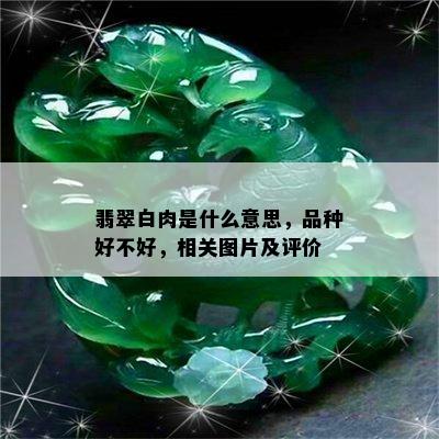 翡翠白肉是什么意思，品种好不好，相关图片及评价