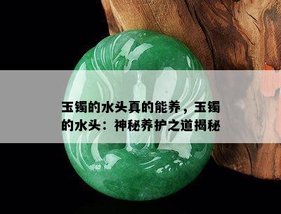 玉镯的水头真的能养，玉镯的水头：神秘养护之道揭秘