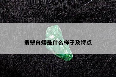 翡翠白蟒是什么样子及特点