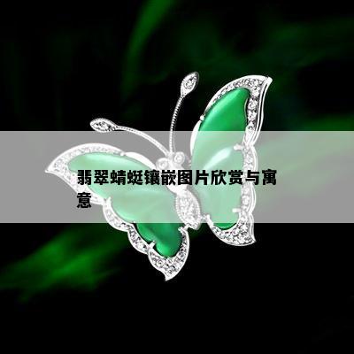 翡翠蜻蜓镶嵌图片欣赏与寓意