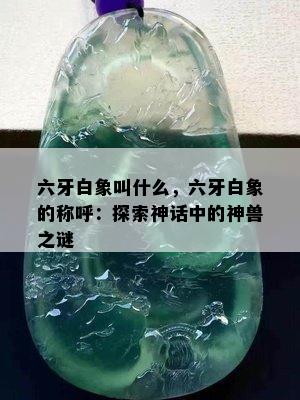 六牙白象叫什么，六牙白象的称呼：探索神话中的神兽之谜