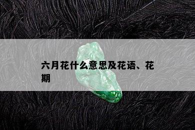 六月花什么意思及花语、花期