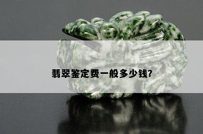 翡翠鉴定费一般多少钱？