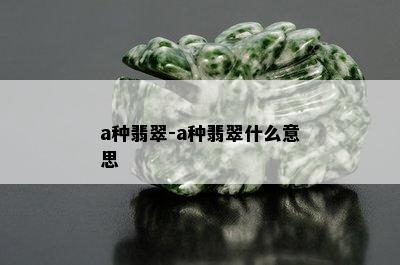 a种翡翠-a种翡翠什么意思