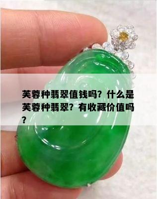 芙蓉种翡翠值钱吗？什么是芙蓉种翡翠？有收藏价值吗？